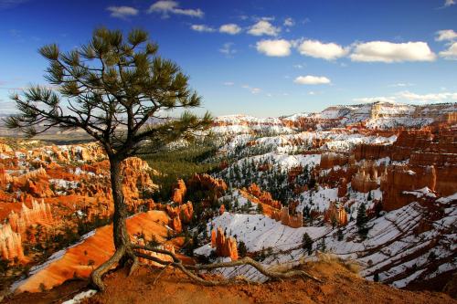 2907bryce[1]